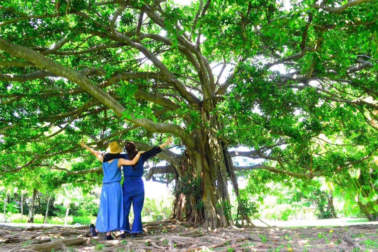 Amami-Green-Garden المظهر الخارجي الصورة